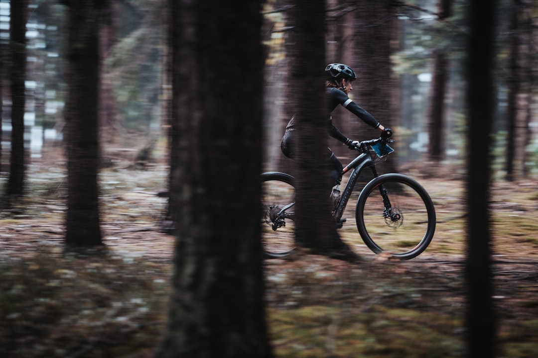 Rentoudu leirintäalueella  Kajaanissa